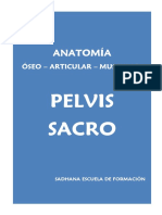 3º Anatomia Pelvis Sacro
