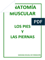 1ºanatomía Pies Piernas