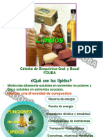 Clase 1b-Lipidos-2019 (1) (1) (1).pdf