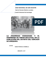 La Seguridad Ciudadana y El Fenomeno de Temor Delictual en Arequipa