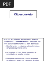 Cito Esqueleto