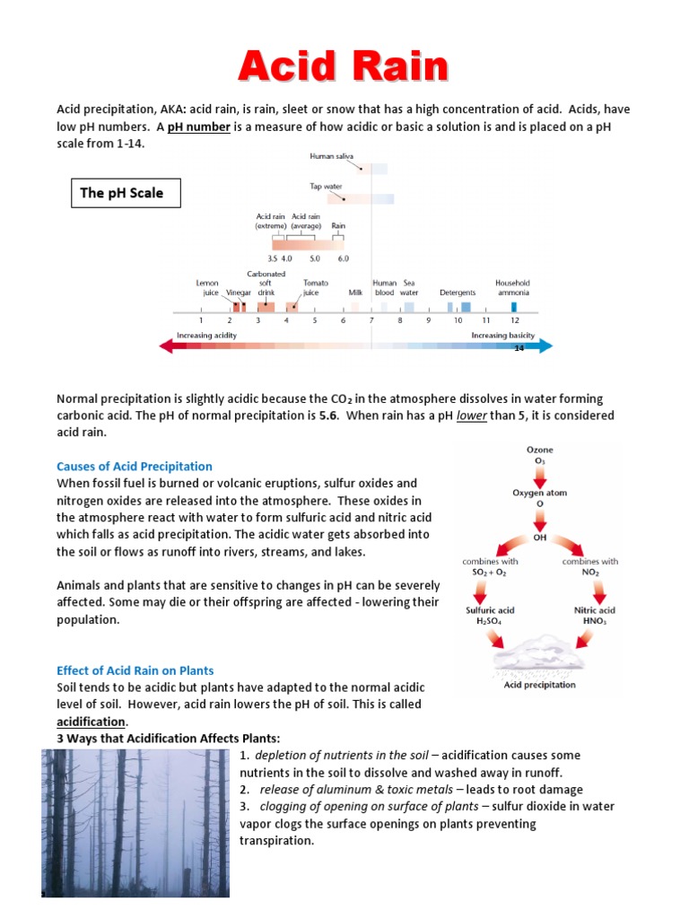 The Effects of Acid Rain: How It Harms Plants, Aquatic Life, Humans and ... Biology Diagrams