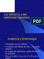 Eje Hipotlamo Hipfisis Tiroides1 1198449235692911 4 PPT Share)