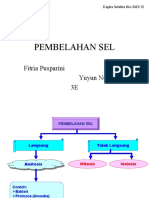 PEMBELAHAN SEL BIOLOGI