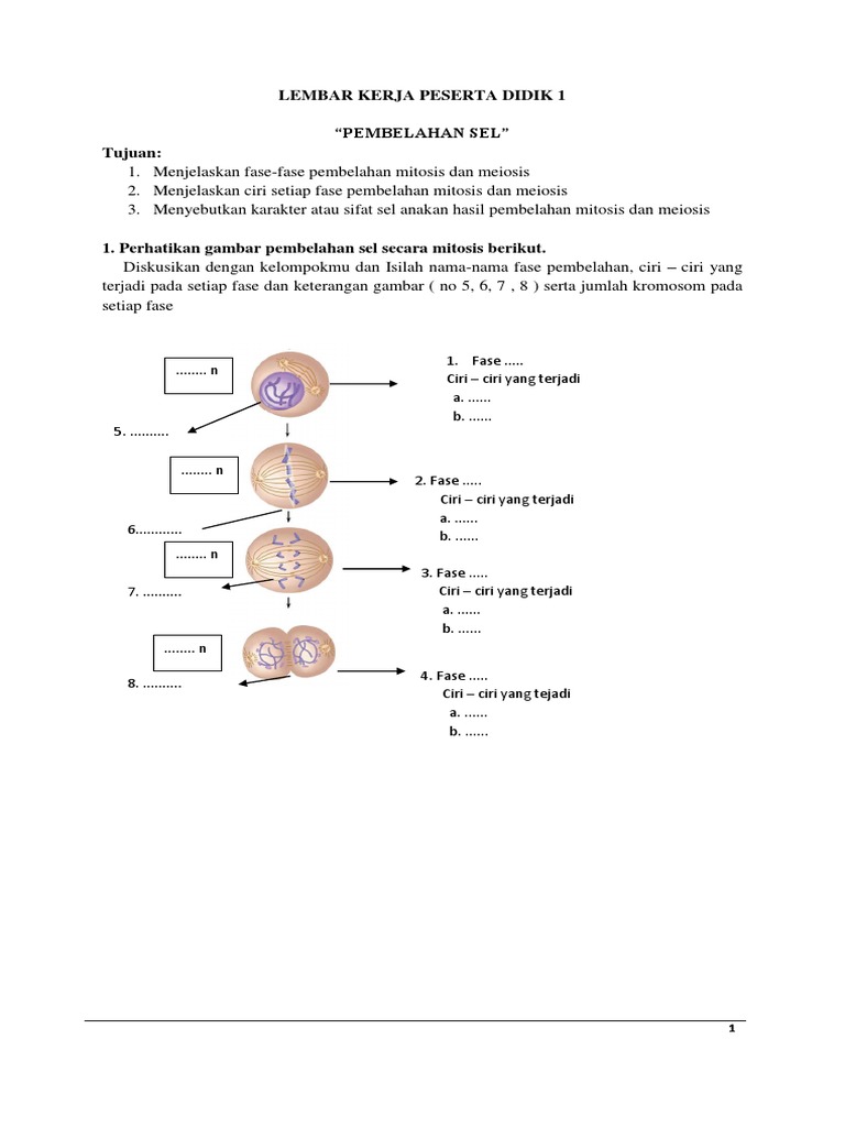 Dokumen Serupa Dengan Lks Pembelahan Sel