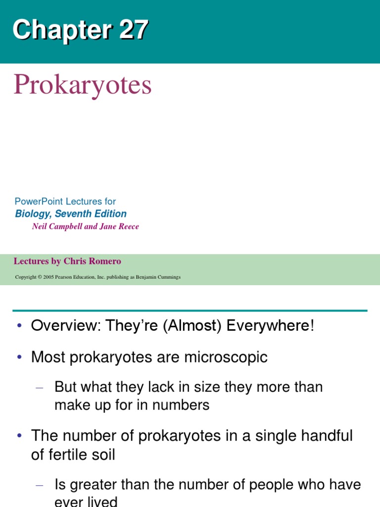 Chapter 27 - Prokaryotes | PDF | Bacteria | Gram Negative Bacteria