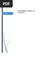 Feasibility Study On Cassava Production in Nigeria