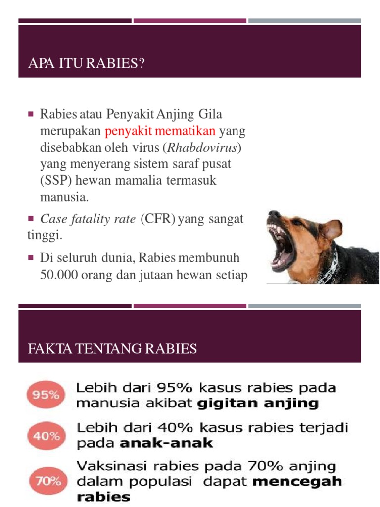 Fakta Penting tentang Rabies dan Pencegahannya | PDF