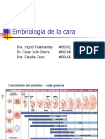 Embriologia de La Cara1042 PPT Share)