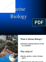 Marine Biology