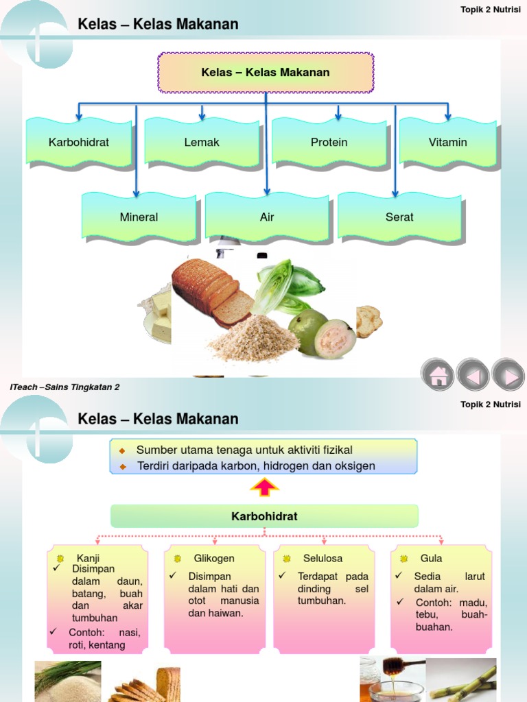 2 F2 Nutrisi Pdf