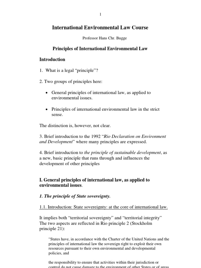 Principles of International Environmental Law | PDF | Environmental Law ...