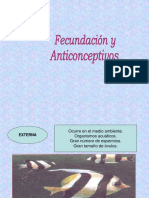 Fecundacion