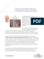 Sindromul-de-Epuizare-al-glandelor-suprarenale.pdf