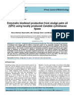 2013 - Enzymatic Biodiesel Production From Sludge Palm Oil