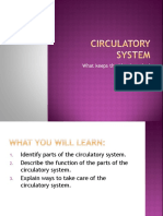 4th Class Circulatory System