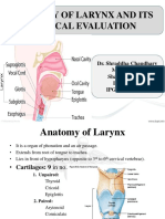 Anatomy of Larynx and Its Clinical Evaluation