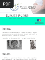 Teratogênese Na Gestação
