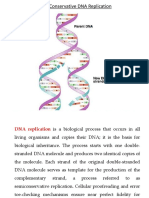 Semi-Conservative DNA Replication