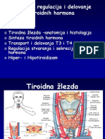 2 ES2 Tiroidea