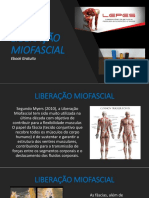 ebook liberacao miofascial lepes.pdf