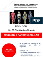 Fisiología Cardiovascular