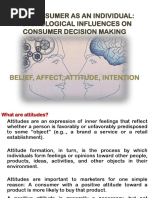 Presentation On Consumer Attitude