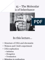 molecular basics ogf the inheritance