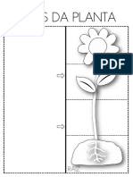 Partes Da Planta