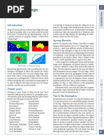Guide to Global Flag Shapes | PDF | Flag | Heraldry