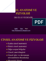 Cinsel Anatomi Ve Fİzyoloji PDF