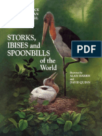 Cigüeñas, Ibis, Espatulas PDF