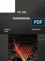 Perforation: James A. Craig Omega 2011