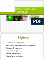 Transgênicos Animal e Vegetal