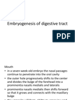 Embryogenesis of Digestive Tract