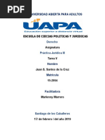 LOS PERITOS EN EL PROCESO.doc