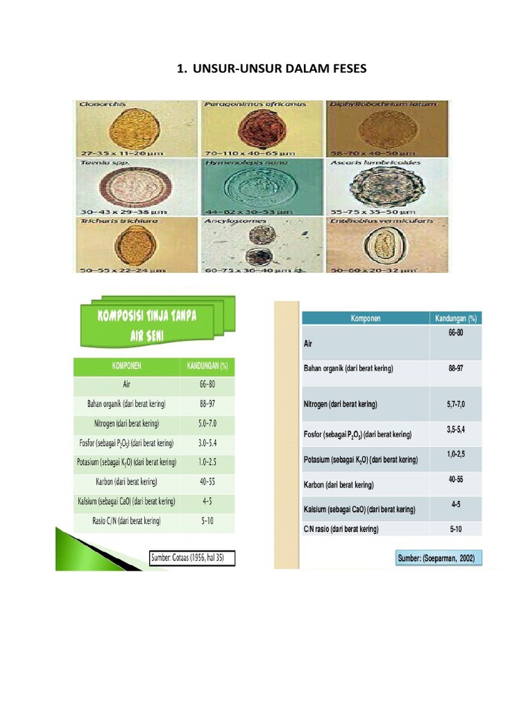 Pemeriksaan Benzidine pada Feses | PDF | Kesehatan Holistik | Sains ...