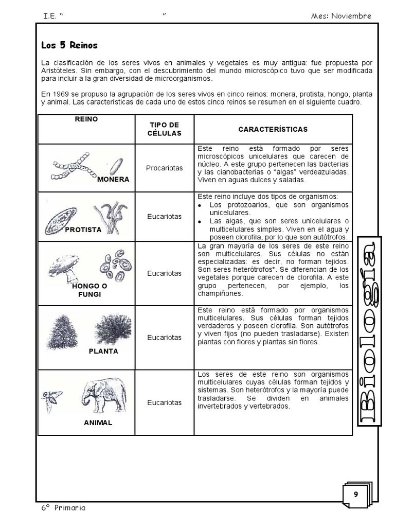 Clasificación de los 5 Reinos de Seres Vivos | PDF | Eucariotas | Plantas