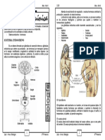 Biologia 6to-Abril 1