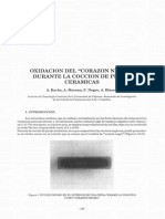 Oxidacion Del Corazon Negro PDF