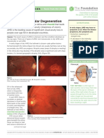 Age-Related Macular Degeneration: The Foundation