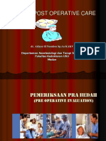 k9 Pre and Post Operative Care