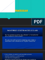 Matriz Extracelular