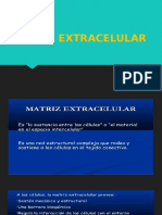 MATRIZ EXTRACELULAR.pptx