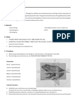 Frog Dissection Guide-converted.docx