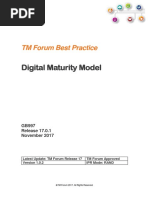 RN362 Digital Maturity Model Release Notes R17.0.1