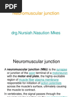 Neuro Muscular Junction NN