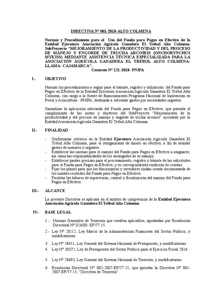 directiva-caja-chica-pdf-efectivo-presupuesto