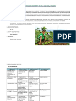 IMPLEMENTACION BIOHUERTOS EN LA I.E (1).docx