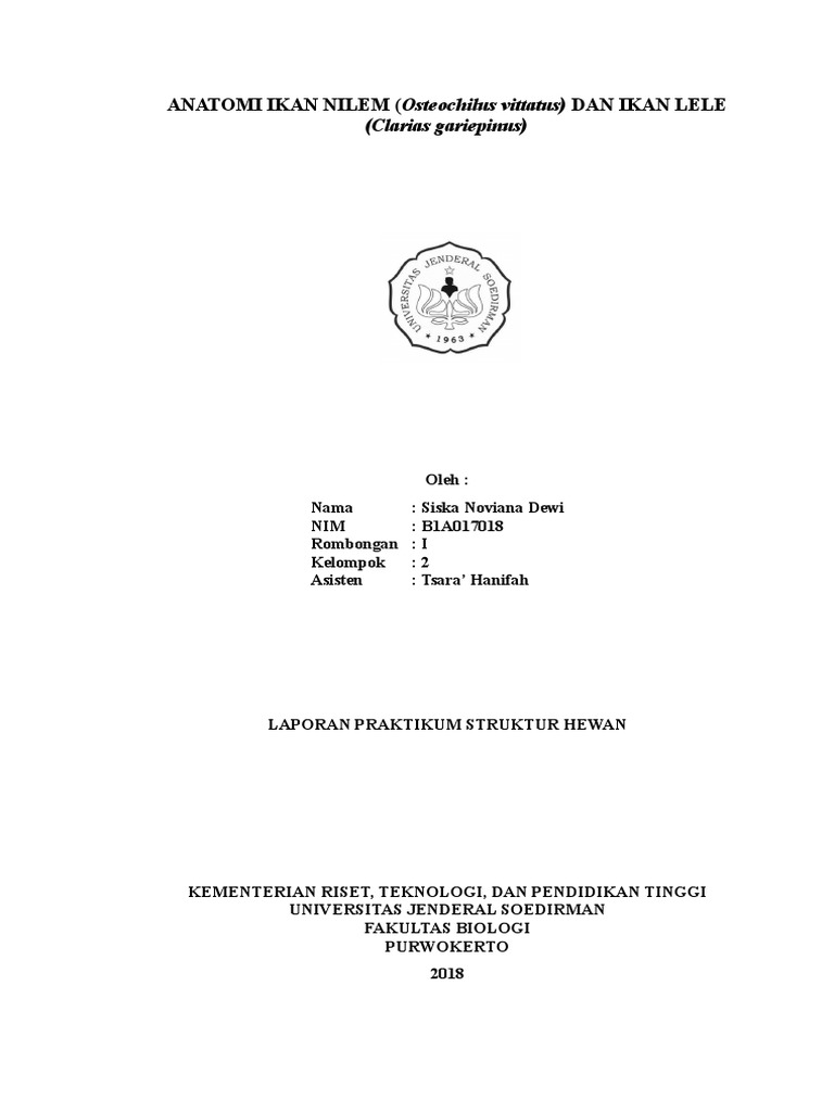 Anatomi Ikan Nilem Osteochilus Vittatus Dan Ikan Lele Clarias Gariepinus
